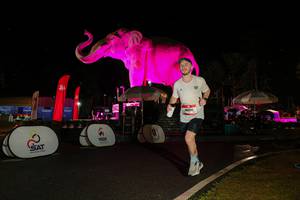 BIB: 
                            <button type="button" onclick="openModal(26535371)" class="btn btn-primary btn-sm float-right btn-popup" data-toggle="modal" data-target=".modal-high-quality">
                        <i class="fas fa-shopping-cart"></i> Add to Cart
                    </button>
                                            <button type="button" onclick="isThisMe(26535371, true)" class="btn btn-success btn-sm float-right btn-popup btn-isme hidden" data-toggle="tooltip" data-placement="bottom" title="นี่คือรูปของคุณใช่ไหม คลิกที่นี่เพื่อเอาเข้าอัลบั้ม">
                        <i class="fas fa-plus"></i> Add to album
                    </button>
                    <button type="button" onclick="isThisMe(26535371, false)" class="btn btn-warning btn-sm float-right btn-popup btn-isnotme hidden">
                        <i class="fas fa-ban"></i> Remove from album
                    </button>